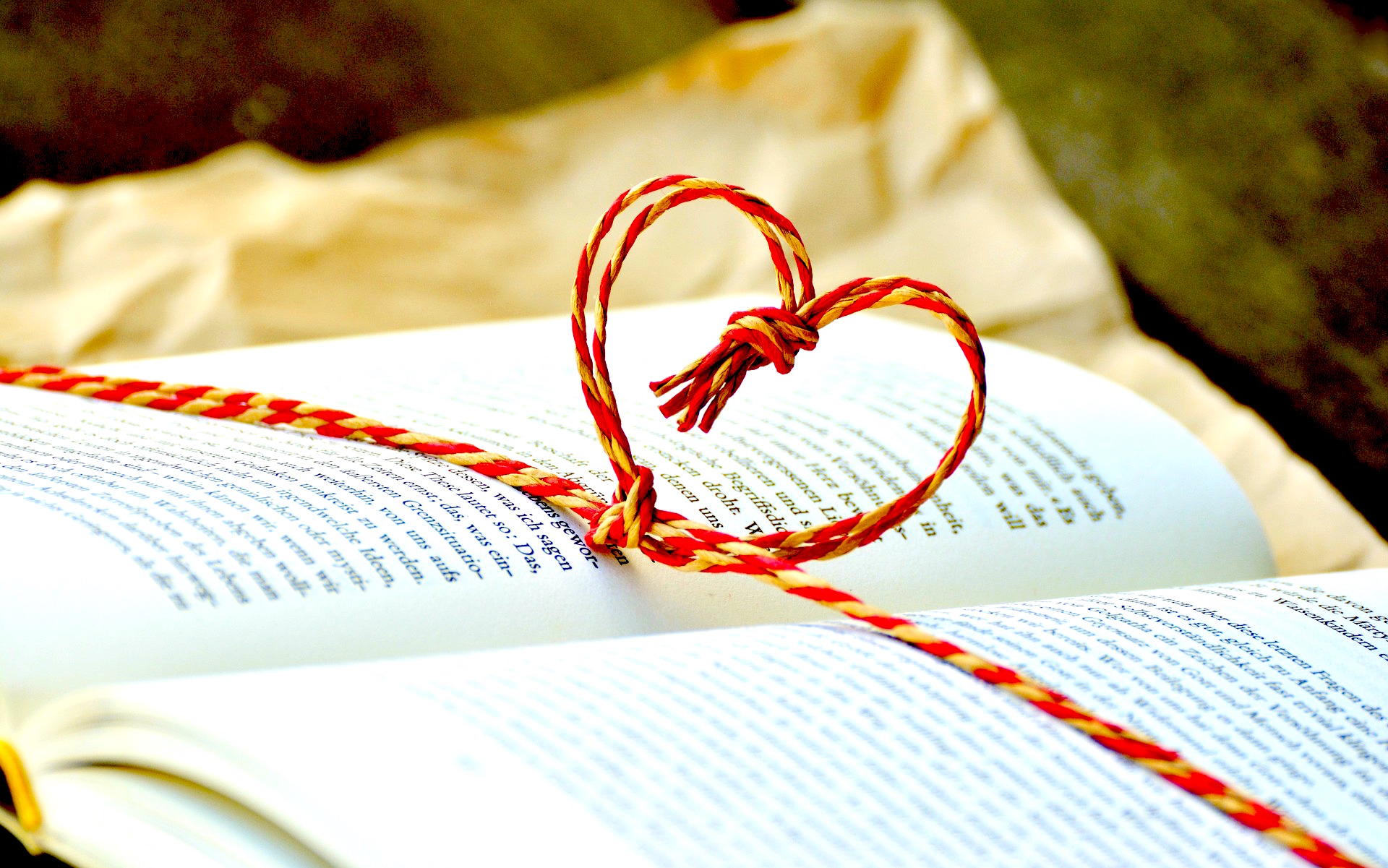 Christmas gift idea for Ellen